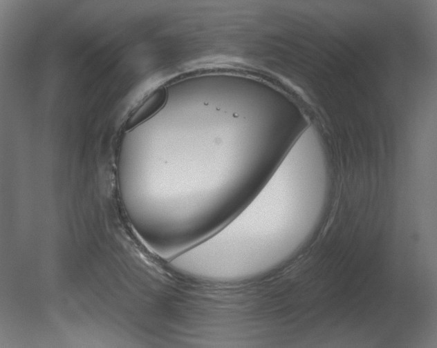 X0000081421363200701120933