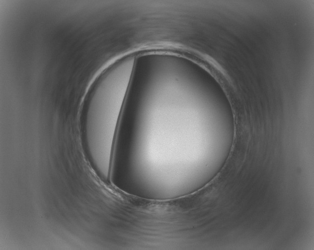 X0000081421364200701120933
