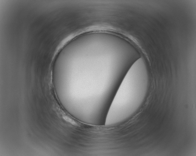 X0000081421366200701120933
