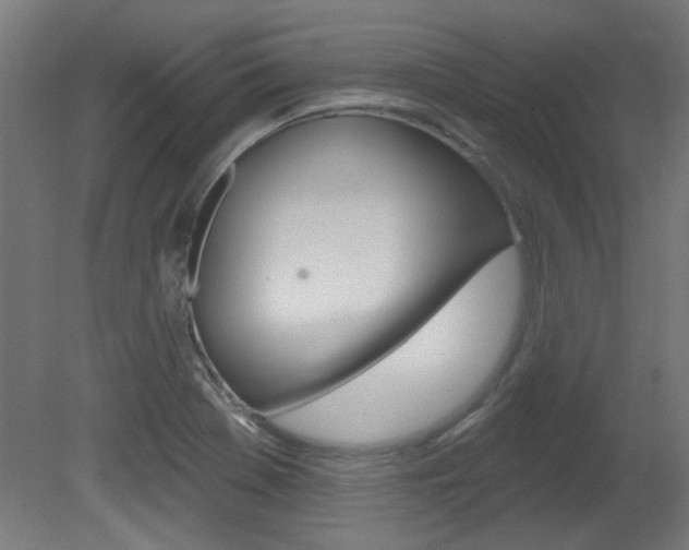 X0000081421369200701120933