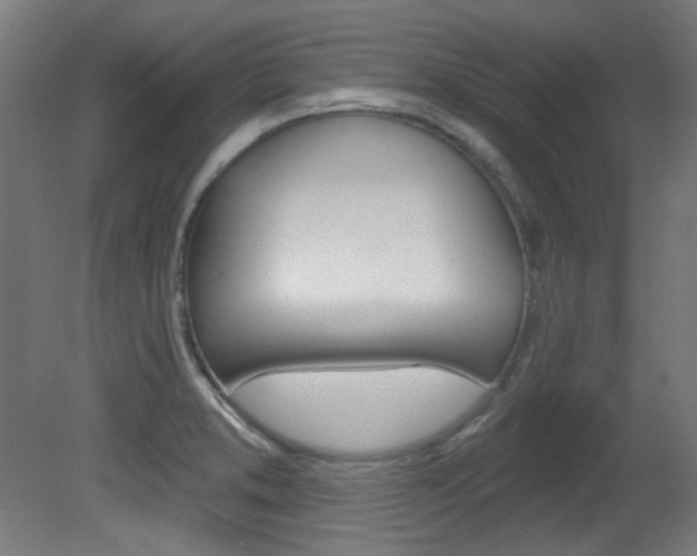 X0000081421373200701120933