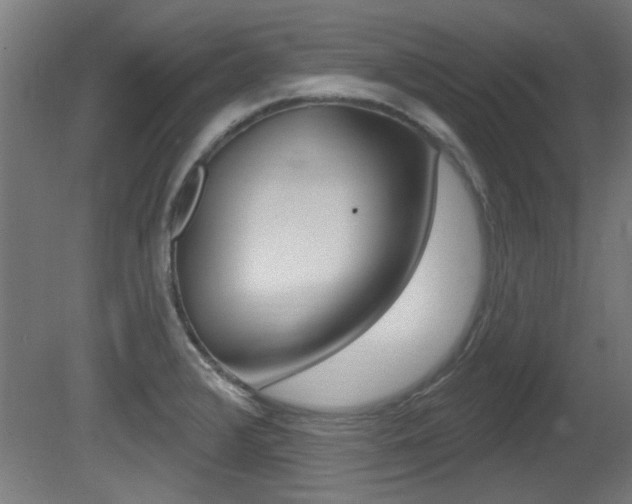 X0000081421376200701120933