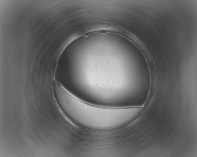 X0000081421377200701120933
