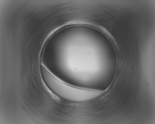 X0000081421380200701120933