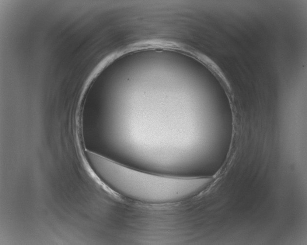 X0000081421381200701120933