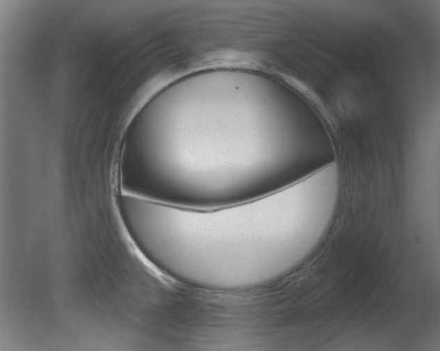 X0000081421383200701120933