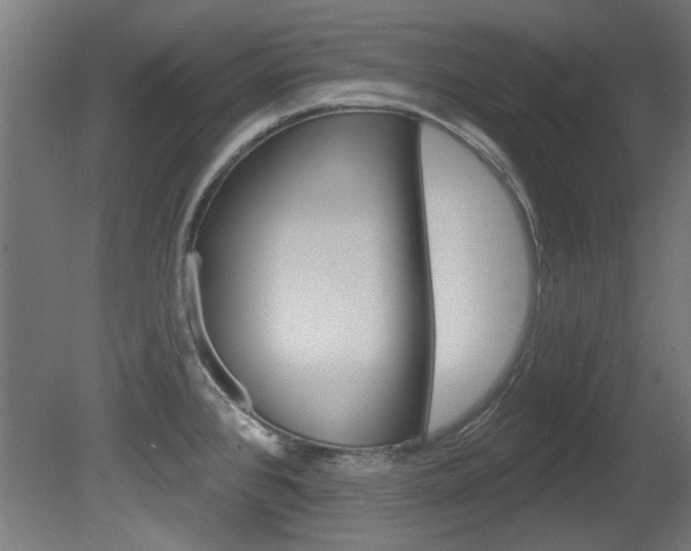 X0000081421384200701120933