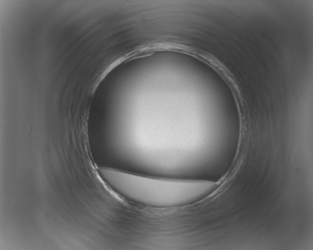 X0000081421385200701120933