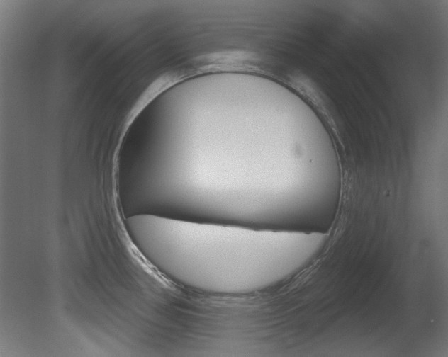 X0000081421386200701120933