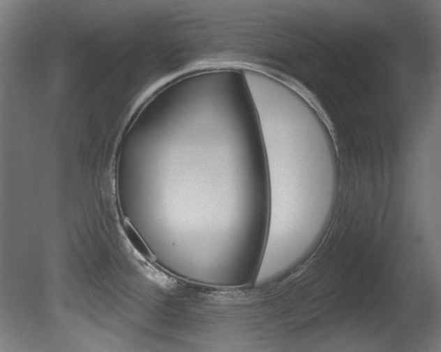 X0000081421388200701120933
