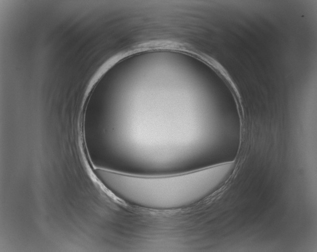 X0000081421389200701120933