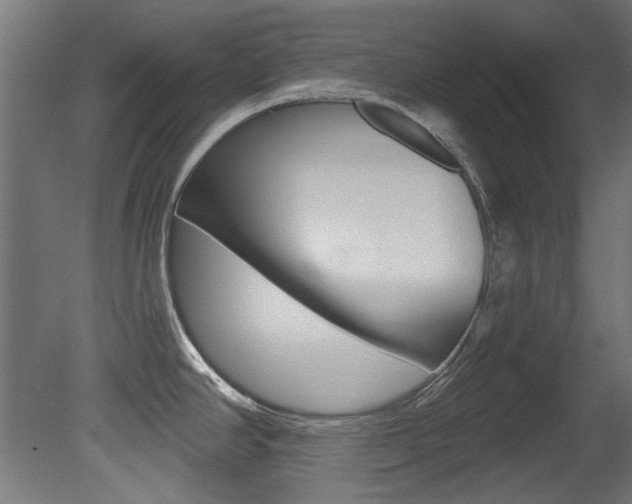 X0000081421390200701120933