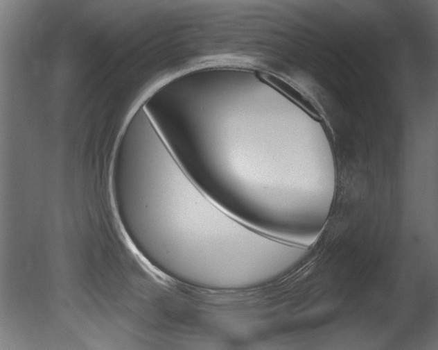 X0000081421391200701120933
