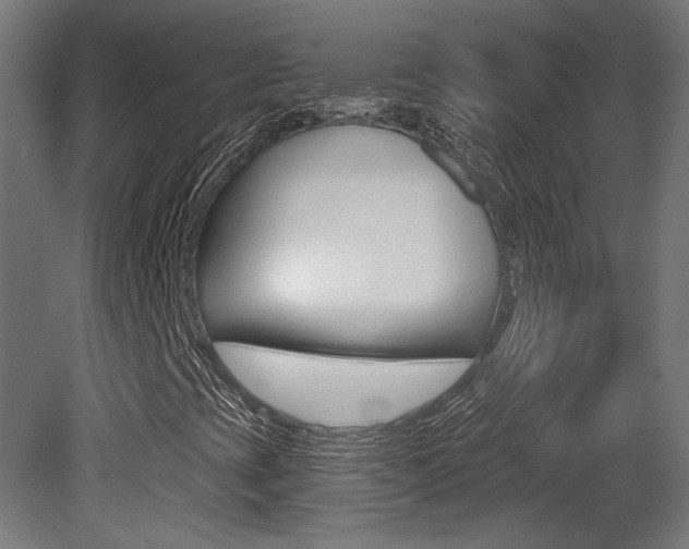 X0000081421393200701120932