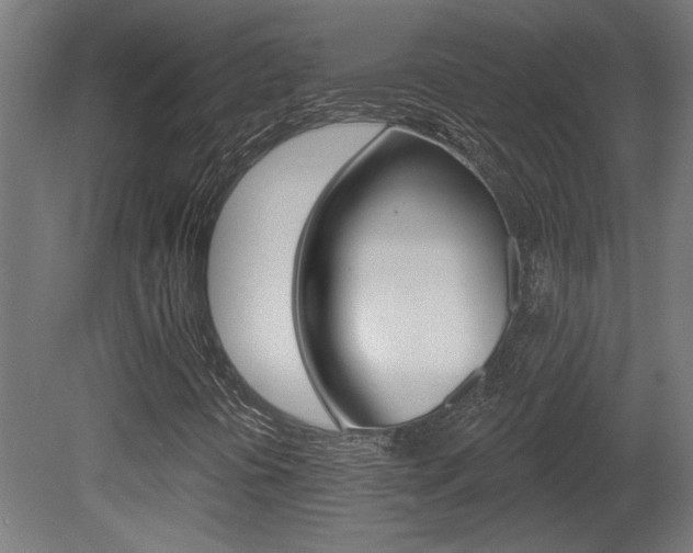 X0000081421394200701120932