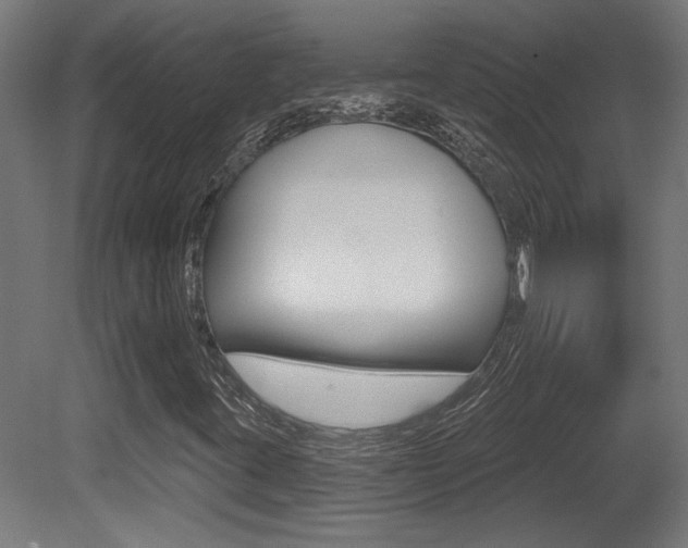 X0000081421395200701120932