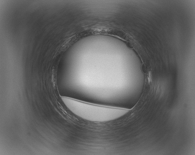 X0000081421396200701120932