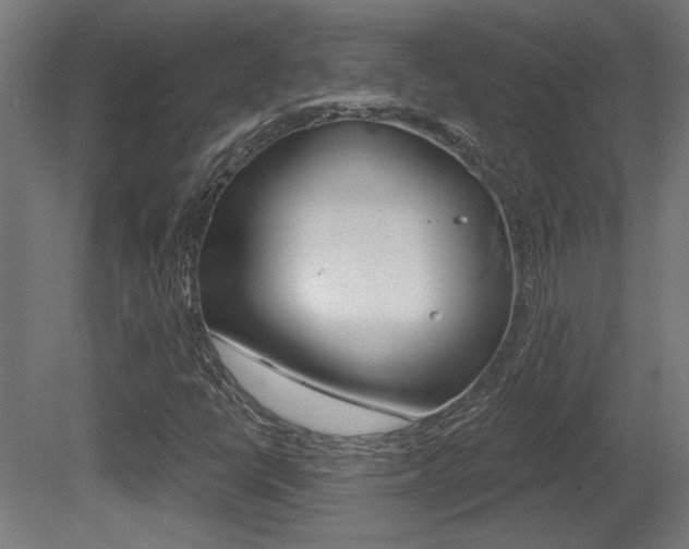 X0000081421398200701120932