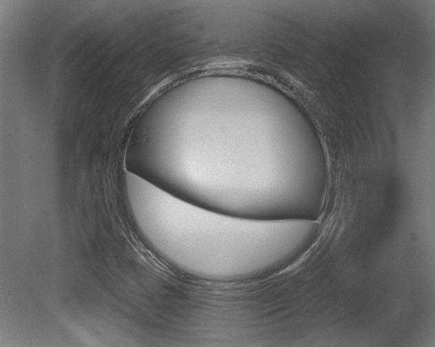 X0000081421401200701120932