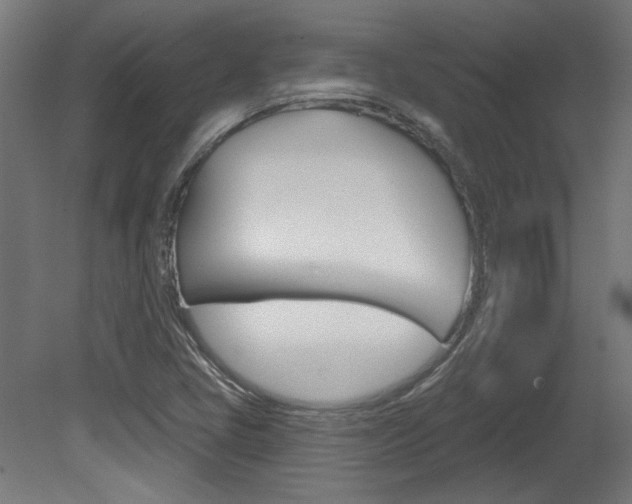 X0000081421405200701120932