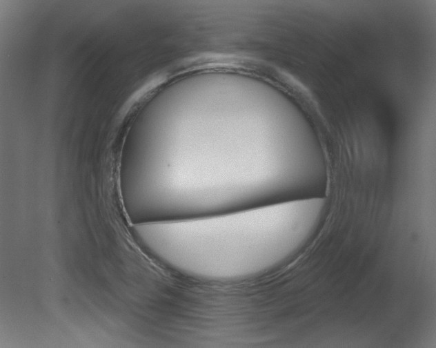 X0000081421411200701120932