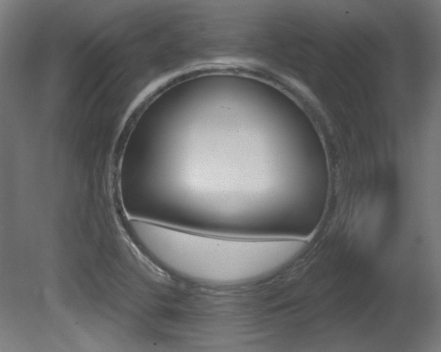 X0000081421412200701120932