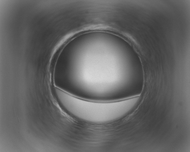 X0000081421414200701120932