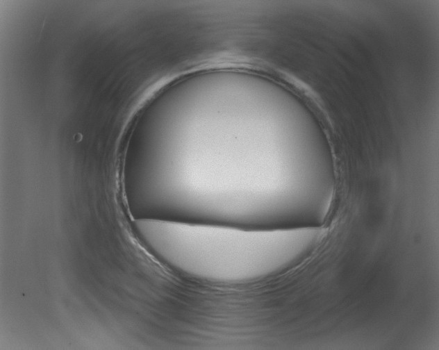 X0000081421415200701120932