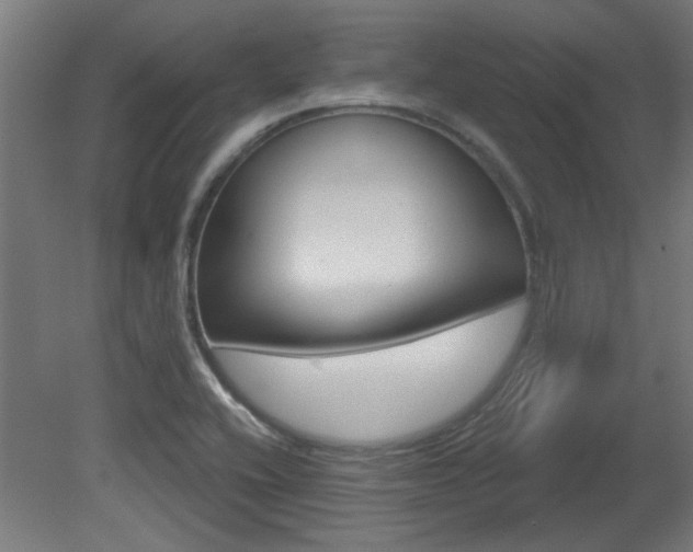 X0000081421416200701120932