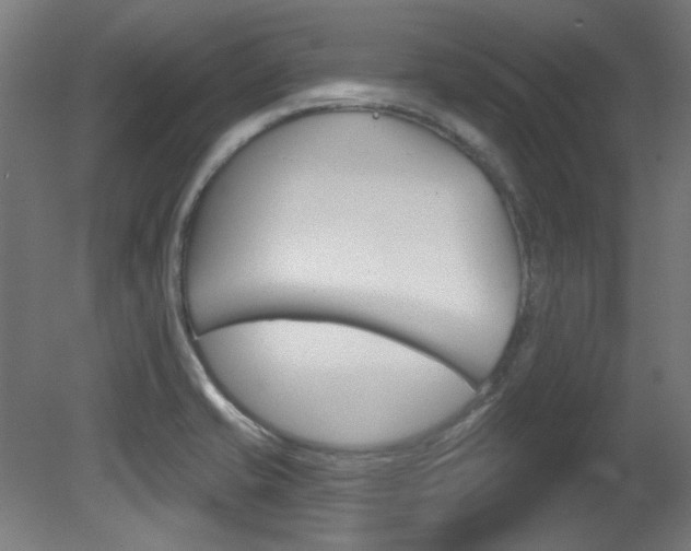 X0000081421421200701120932
