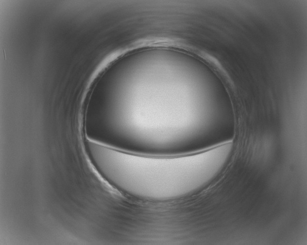 X0000081421424200701120932