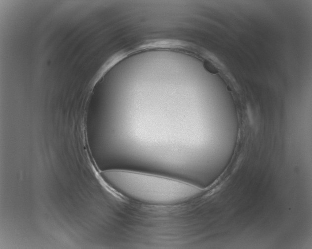 X0000081421425200701120932