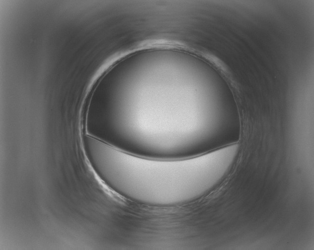 X0000081421430200701120932