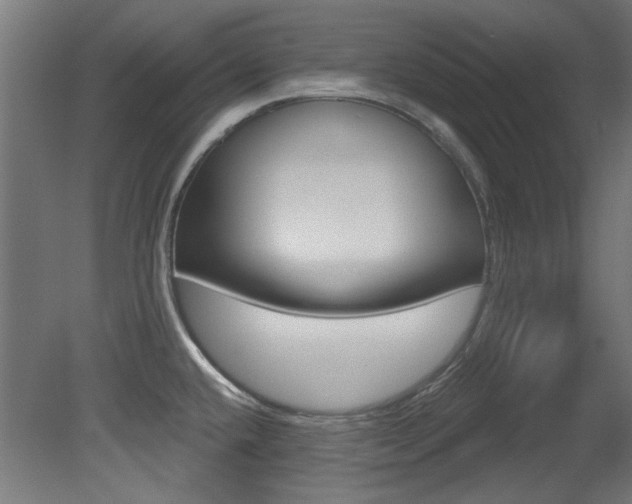X0000081421432200701120933