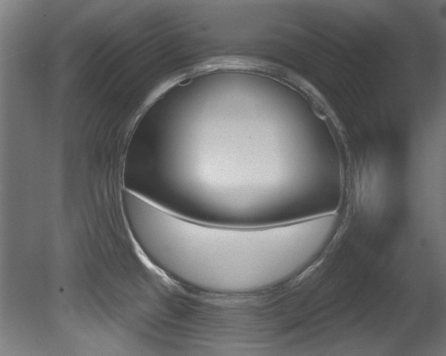X0000081421433200701120933
