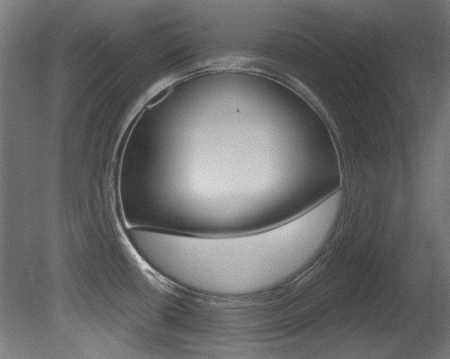 X0000081421434200701120933
