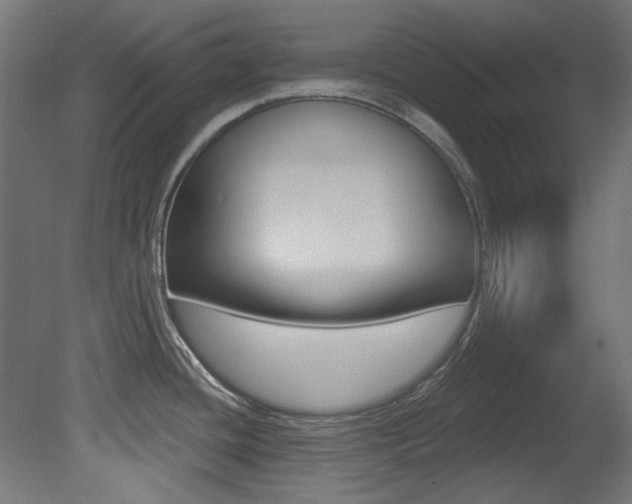 X0000081421436200701120933