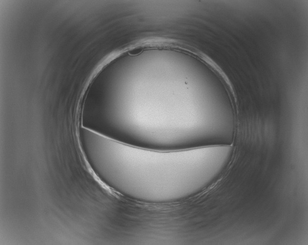 X0000081421437200701120933