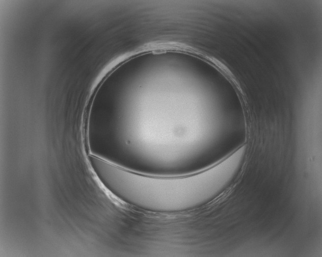 X0000081421438200701120933