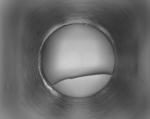 X0000081421439200701120933