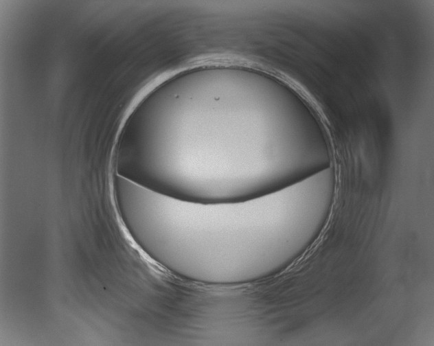 X0000081421440200701120933
