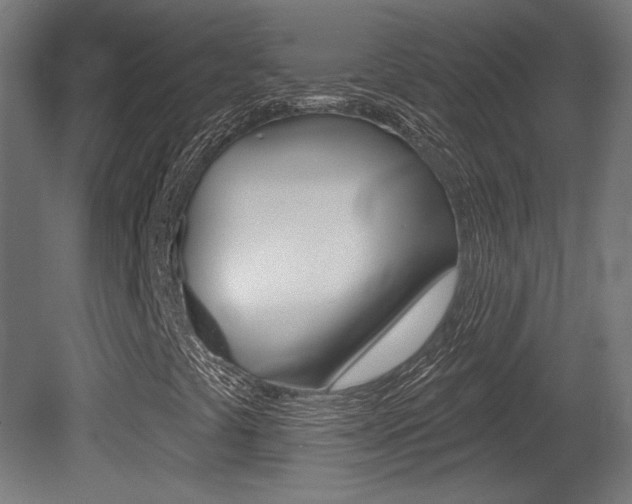 X0000081421441200701120932