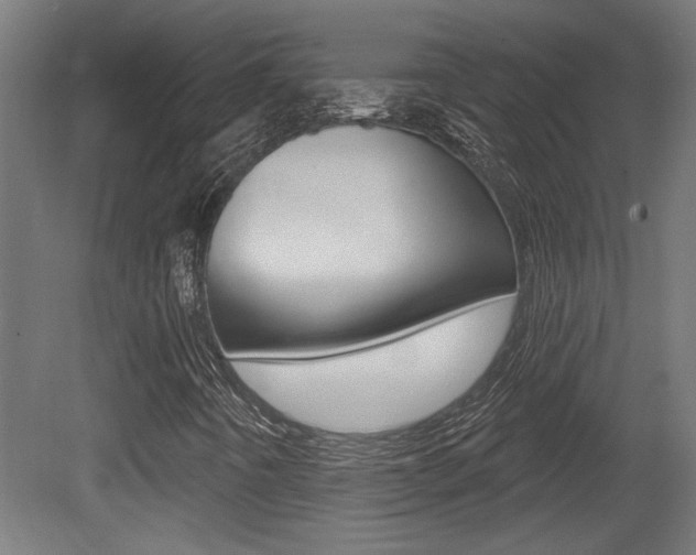 X0000081421442200701120932