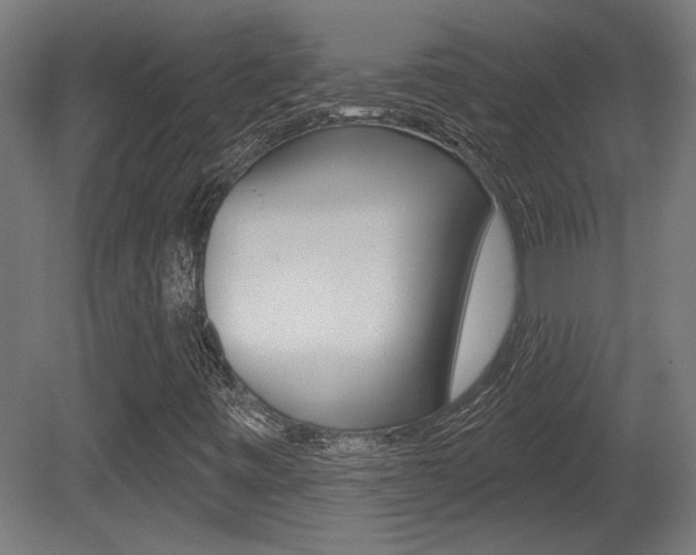 X0000081421443200701120932