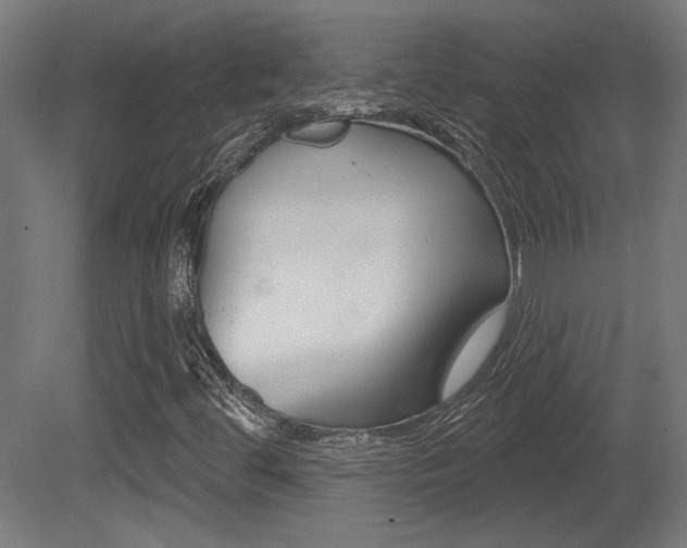 X0000081421444200701120932