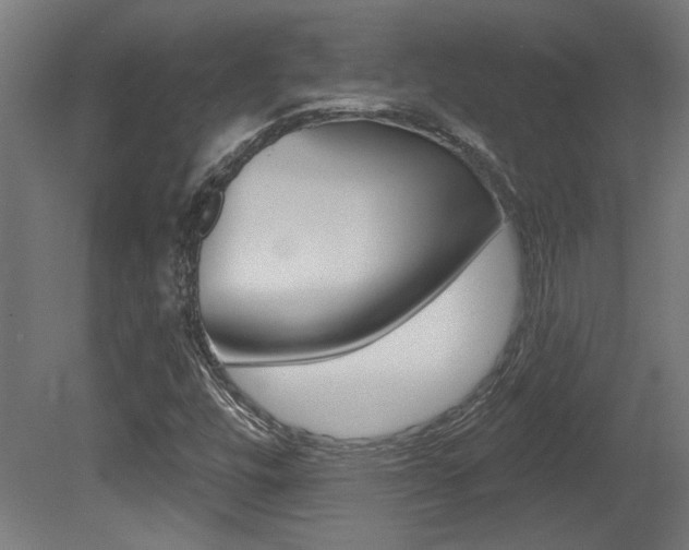 X0000081421448200701120932