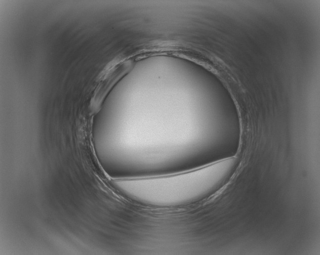 X0000081421449200701120932