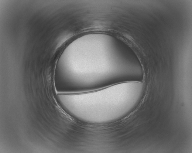X0000081421450200701120932