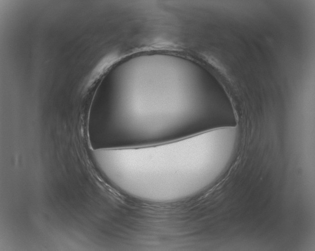 X0000081421455200701120932