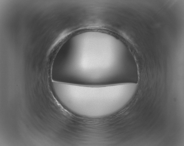 X0000081421456200701120932